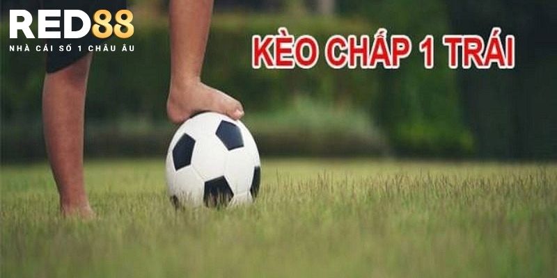 Sơ lược kèo chấp 1 trái